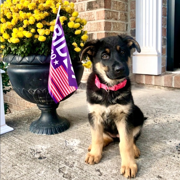 Like this to save my closet! 🛍 - Picture 4 of 5